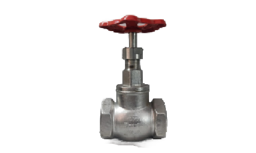 SS Globe Valve