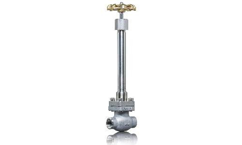 Cryogenic Globe Valve Extended Stem